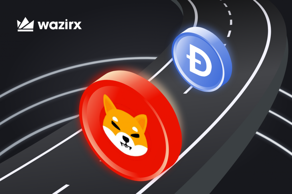 All You Need to Know About Shiba Inu Taking Over Dogecoin